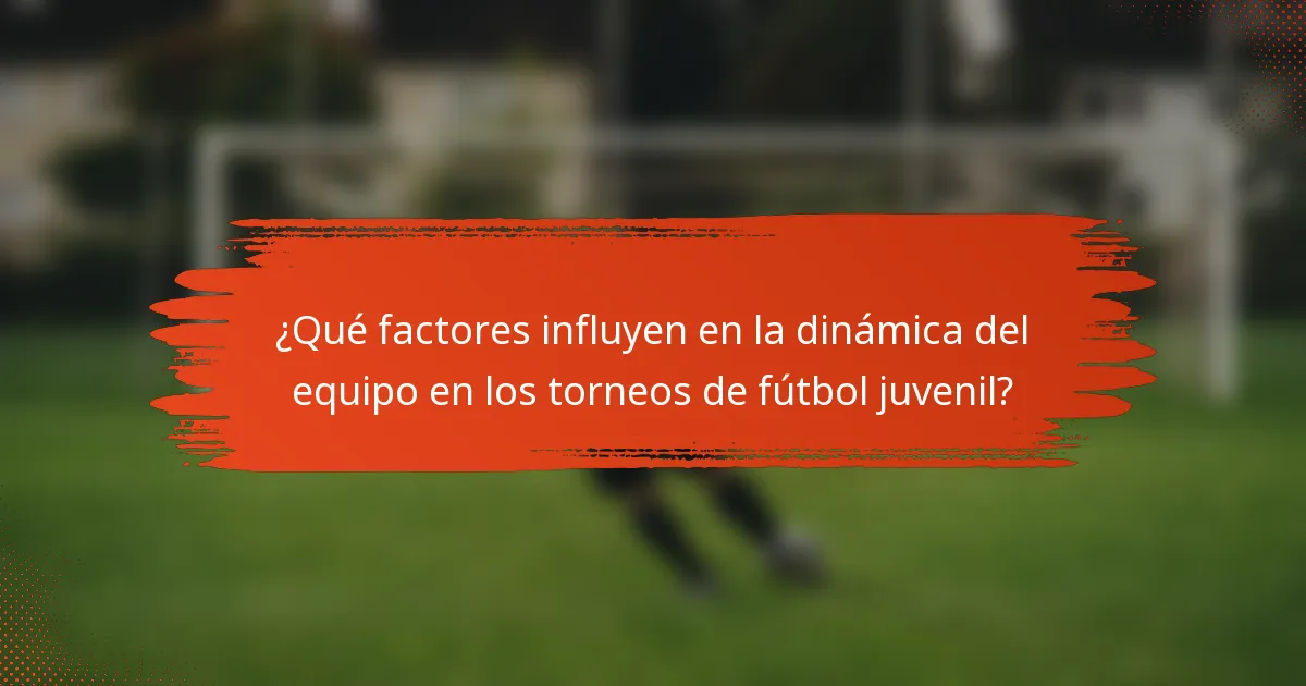 ¿Qué factores influyen en la dinámica del equipo en los torneos de fútbol juvenil?